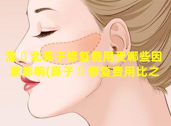 淮 ☘ 北鼻子修复费用受哪些因素影响(鼻子 ☘ 修复费用比之前贵吗)